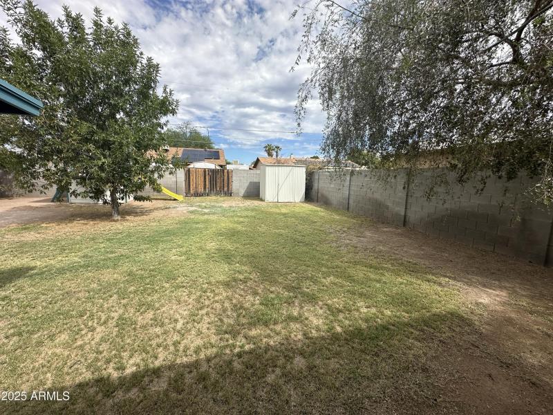 Large Backyard