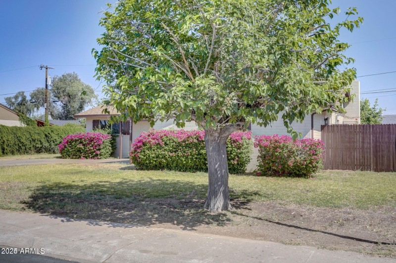 20240520230255903674000000-o