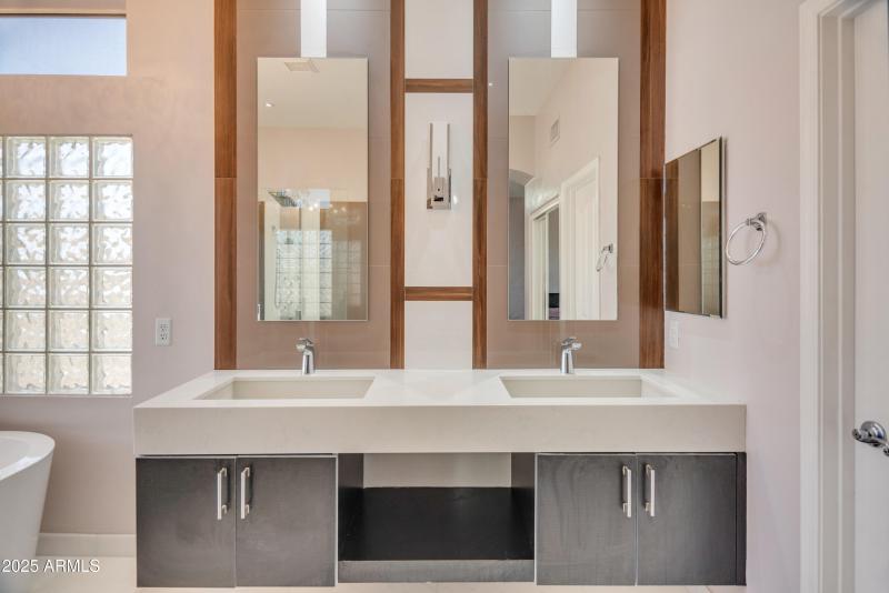 Master dual sinks