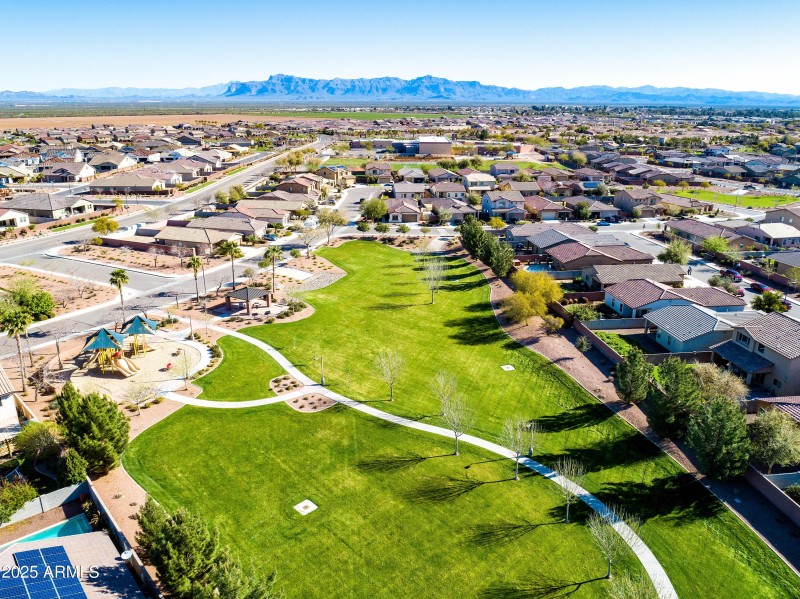 15 - Ironwood