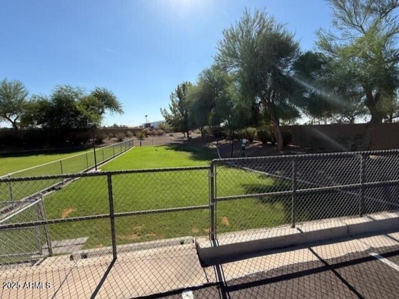 dog park 1 of 2
