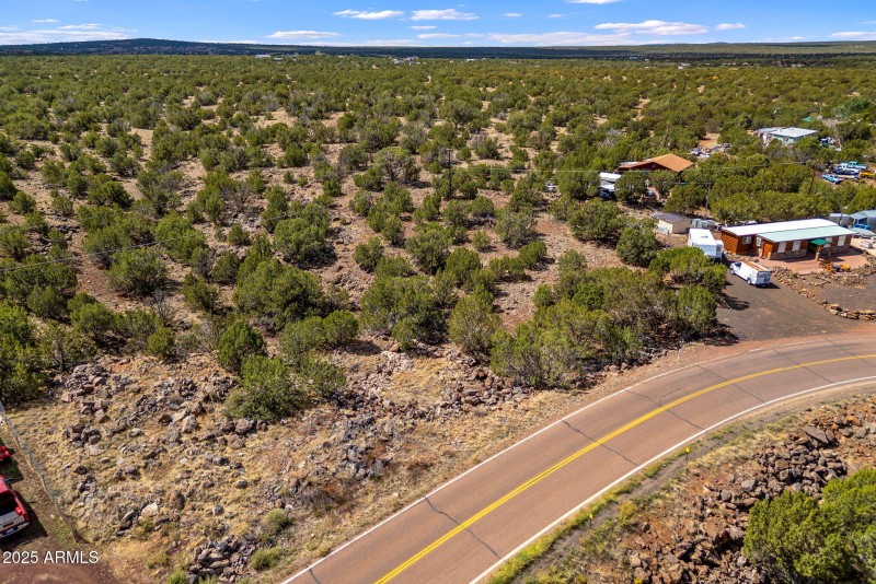 8575SilverCreekRd-ShowLow-AZ-8