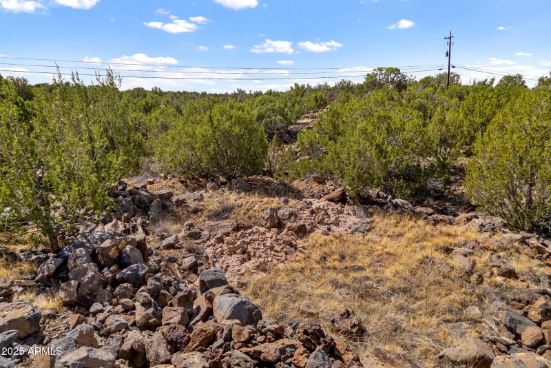 8575SilverCreekRd-ShowLow-AZ-13
