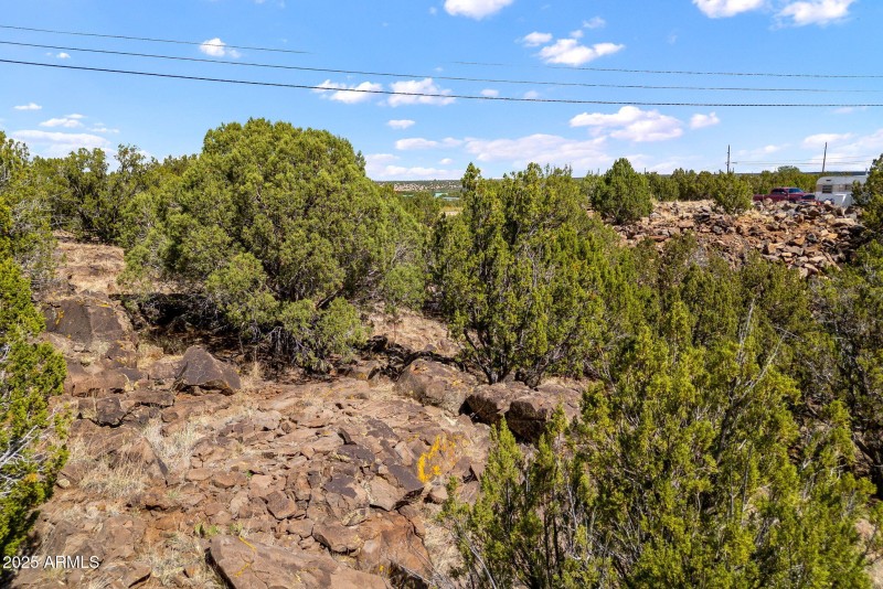 8575SilverCreekRd-ShowLow-AZ-14