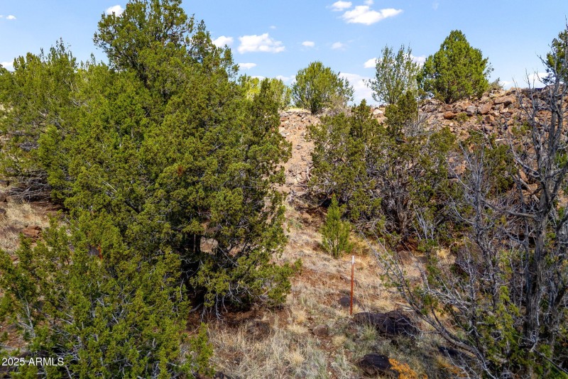 8575SilverCreekRd-ShowLow-AZ-15