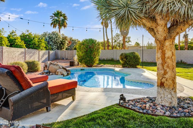 Resort Style Yard