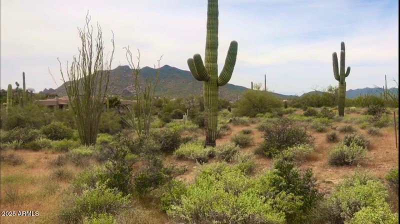 View of Black Mountain 2