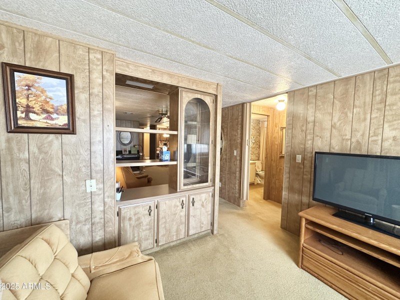 BUILT IN HUTCH IN TV ROOM