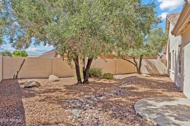 Backyard, Alt View