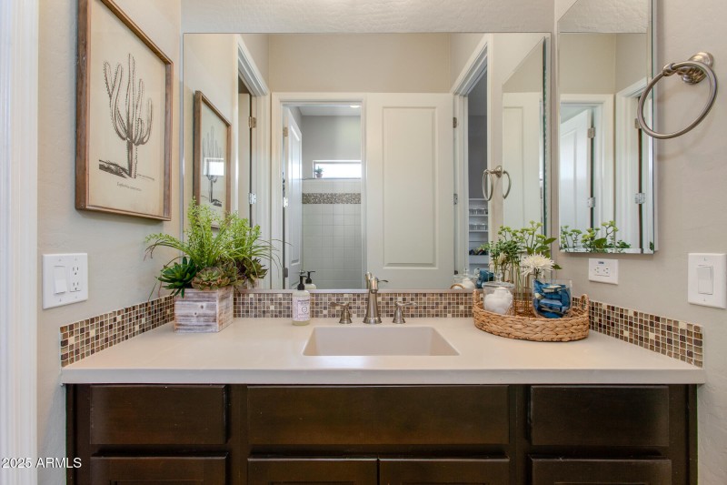 Jack and Jill Bathroom