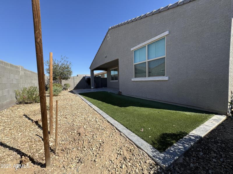 Back yard