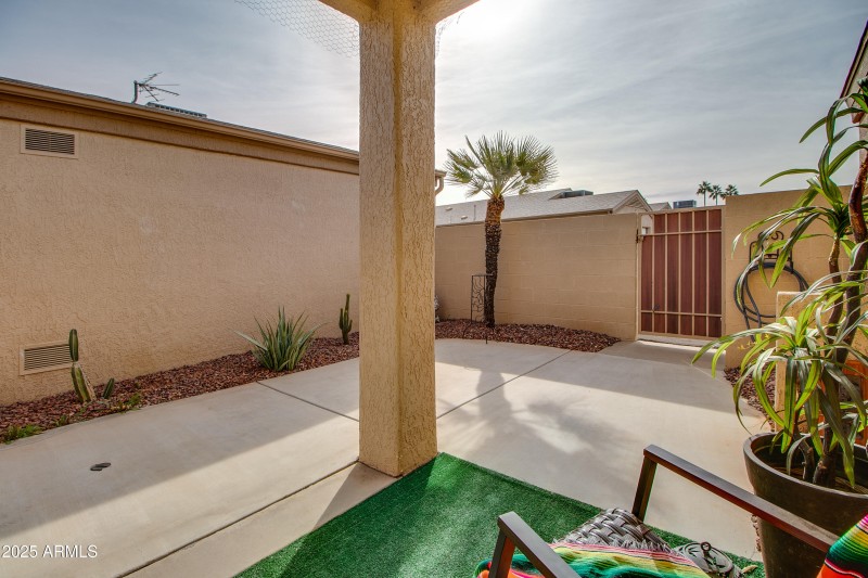 Backyard Area