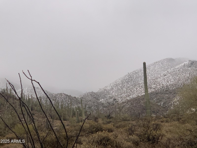 Light Dusting Of Snow