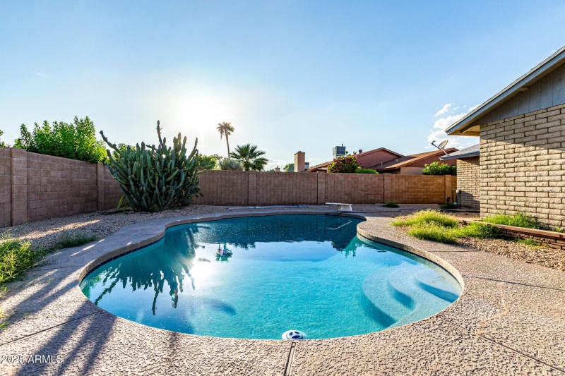 38 - Palo Verde