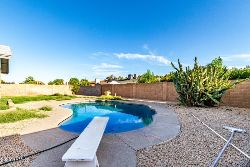 40 - Palo Verde