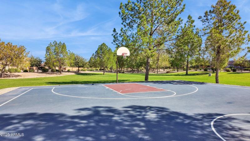 Basketball Court