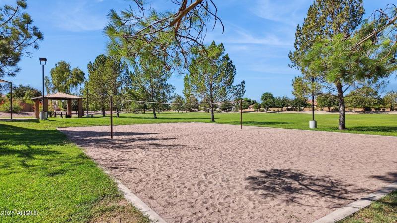 Volleyball Court