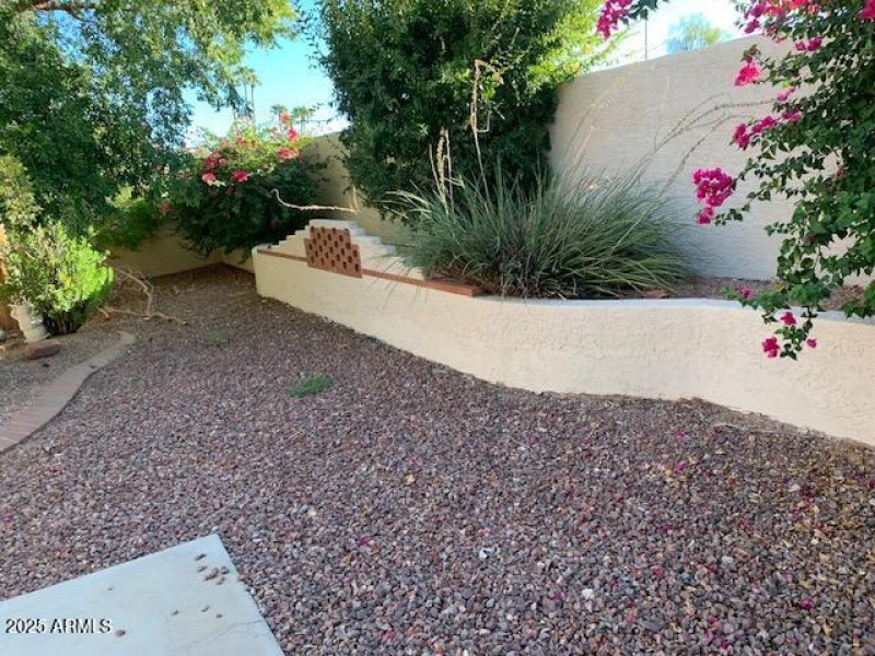 DEL PUEBLO BACKYARD 2