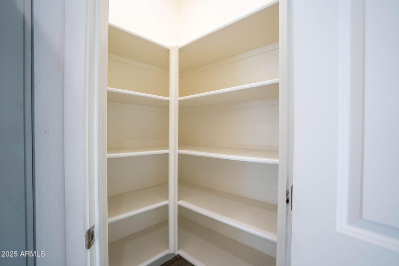 18-web-or-mls-Tune-18