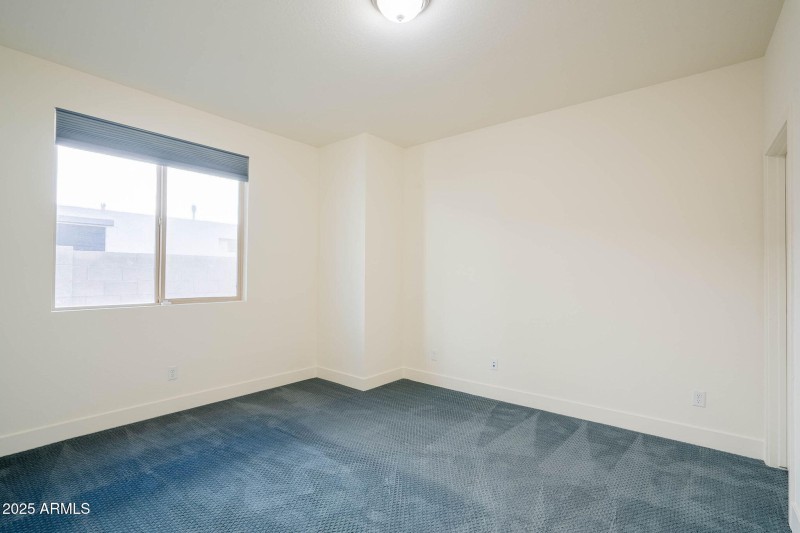 19-web-or-mls-Tune-19