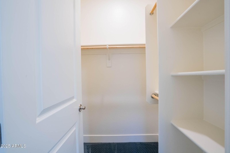 31-web-or-mls-Tune-31