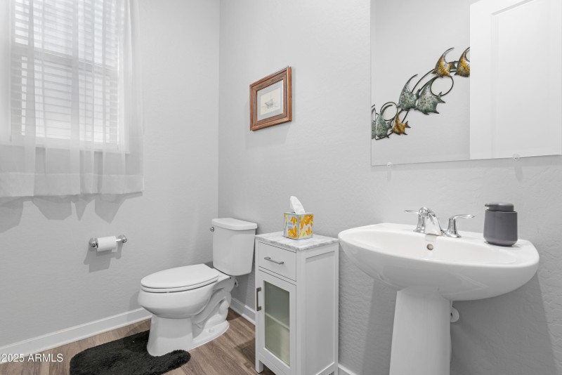 Downstairs Guest Bath