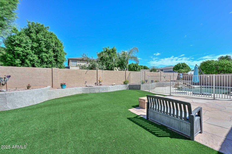 Backyard2