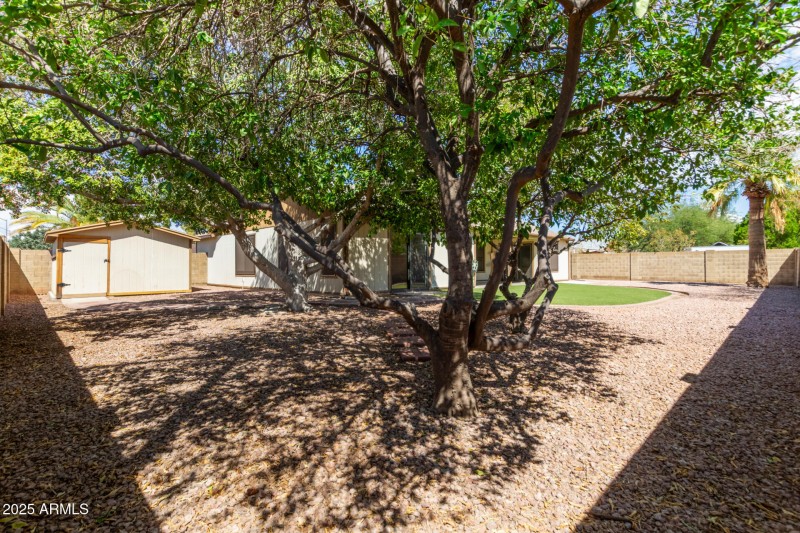 8001 E. Colby St, Mesa AZ 85207