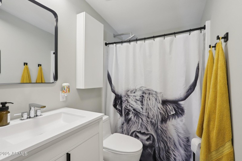 Guest bath