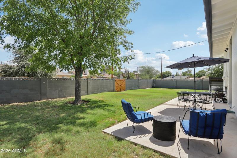 Backyard