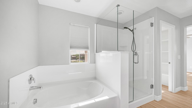 Walk-In Shower with Separate Tub