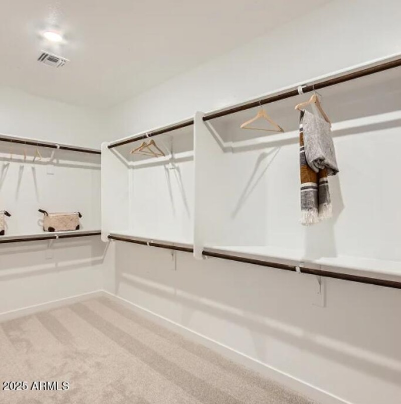 Owners Walk in Closet