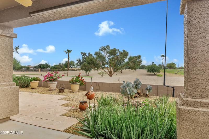 Backyard Patio