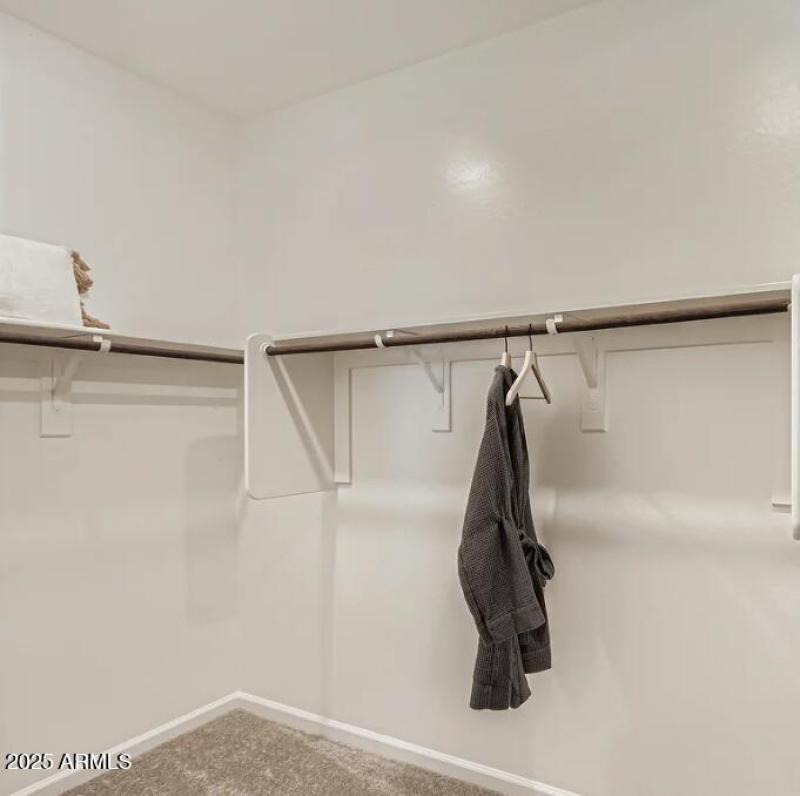 Owners Walk in Closet