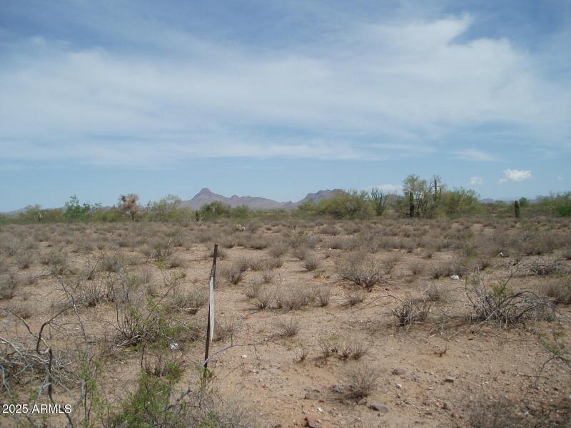 P9170006