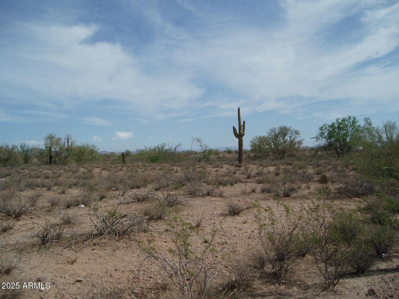 P9170007