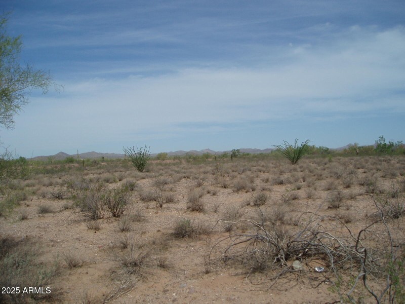 P9170008