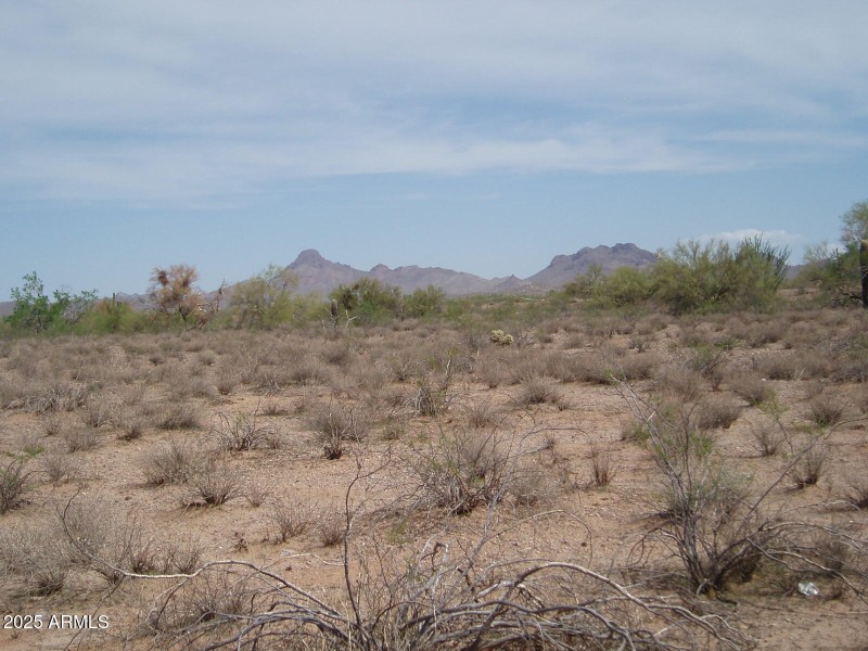 P9170009