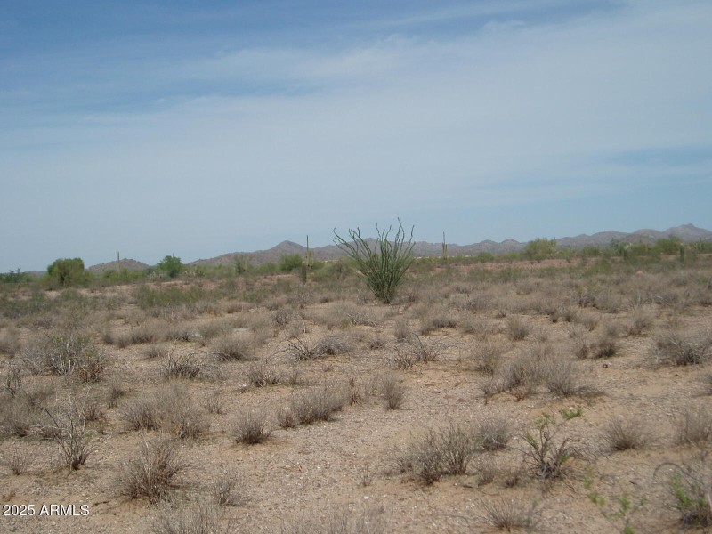 P9170010
