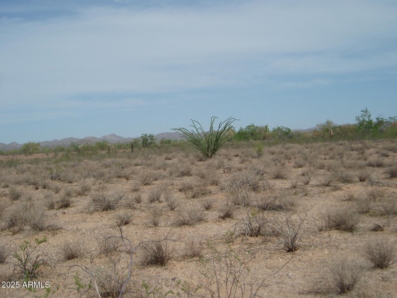 P9170011