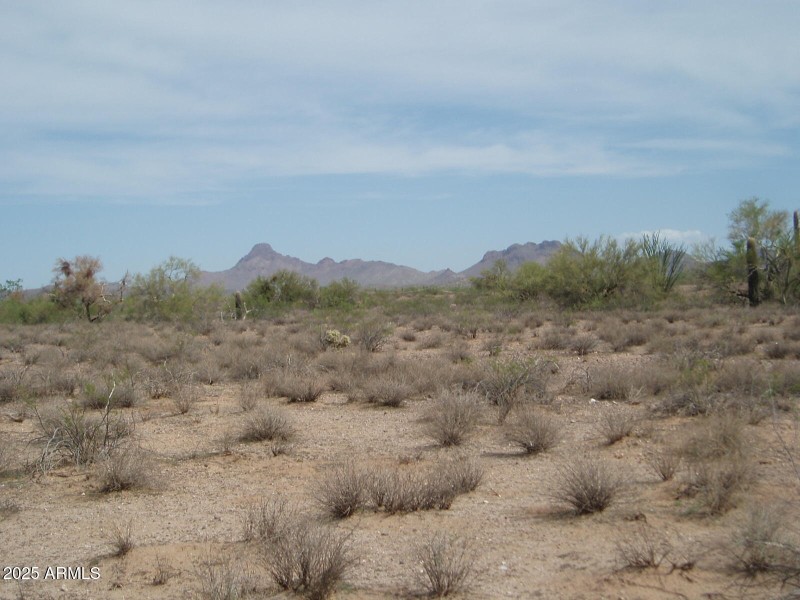 P9170012
