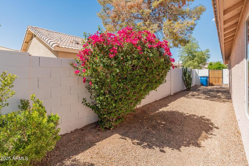 143 W Jasper Dr-33