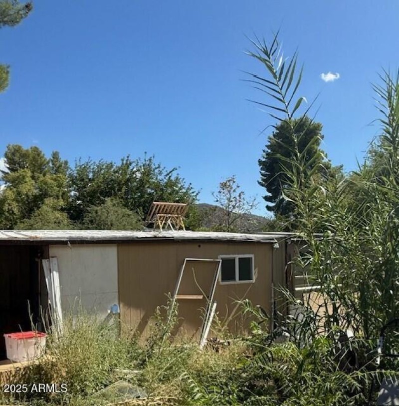 backyard3