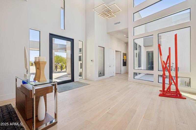 Steel Pivot Door