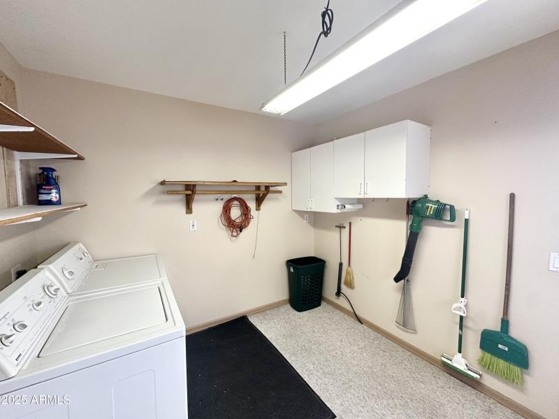 SHED CABINETS