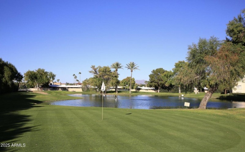 Screen Shot 2025-09-17 at 3.43.59 PM