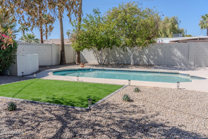 Back Yard 3
