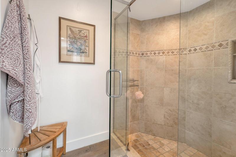 Primary Shower
