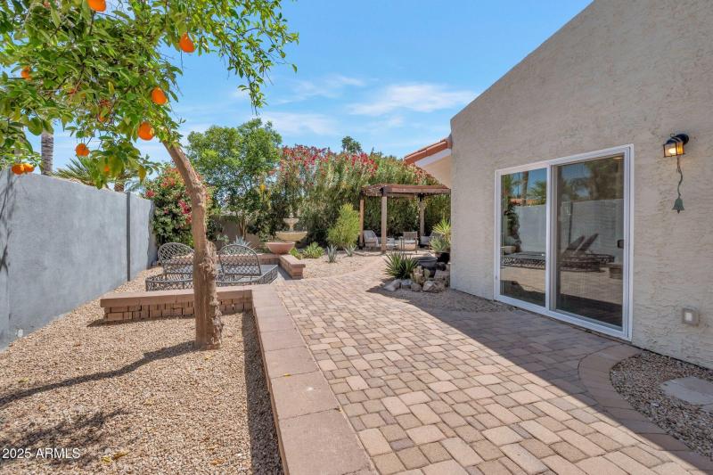 Kitchen door and side yard