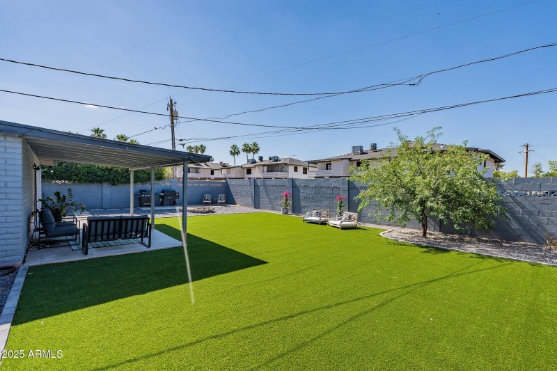 Backyard